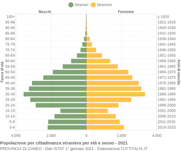 Grafico cittadini stranieri - 2021