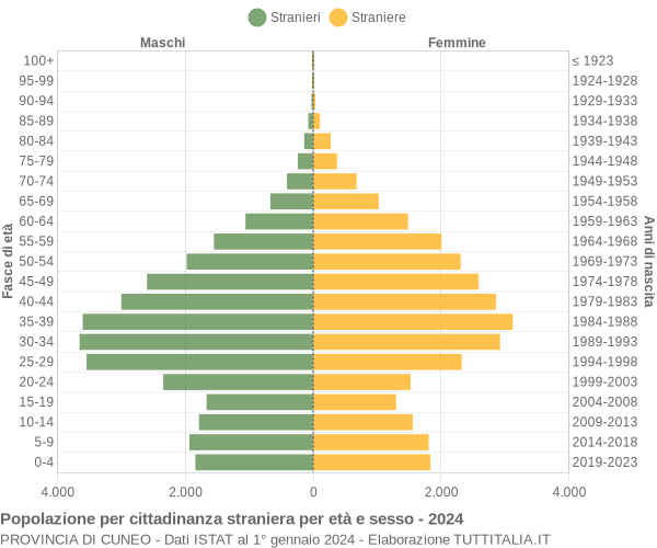 Grafico cittadini stranieri - 2024