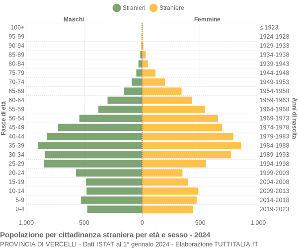 Grafico cittadini stranieri - 2024