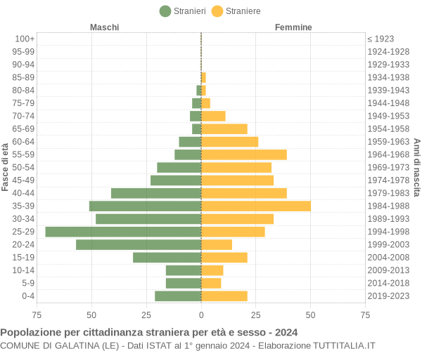 Grafico cittadini stranieri - Galatina 2024