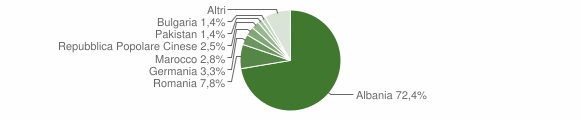 Grafico cittadinanza stranieri - Taviano 2010