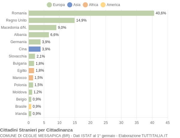 Grafico cittadinanza stranieri - Ceglie Messapica 2010