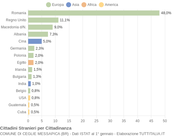 Grafico cittadinanza stranieri - Ceglie Messapica 2013