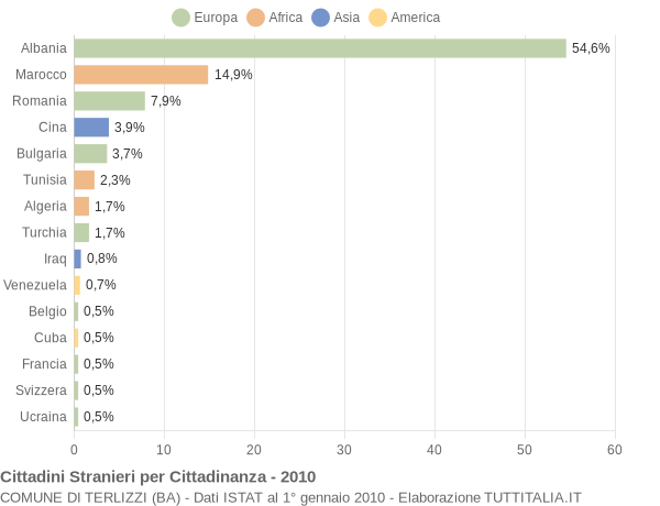 Grafico cittadinanza stranieri - Terlizzi 2010