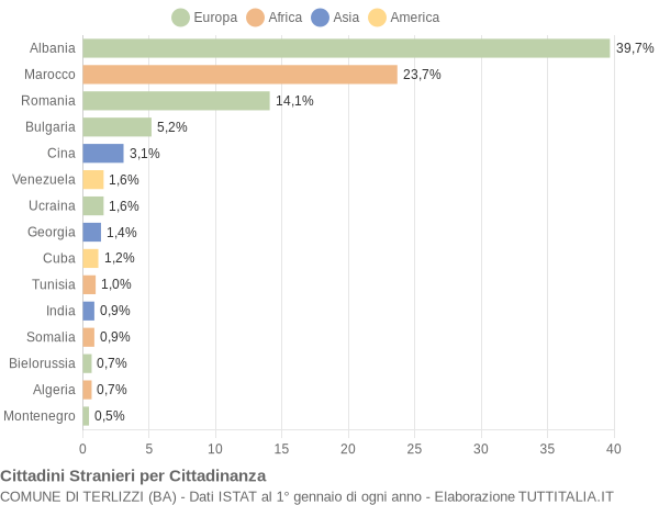 Grafico cittadinanza stranieri - Terlizzi 2020