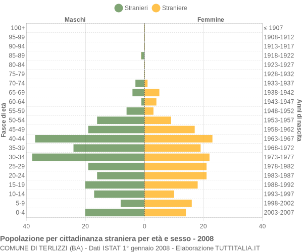 Grafico cittadini stranieri - Terlizzi 2008
