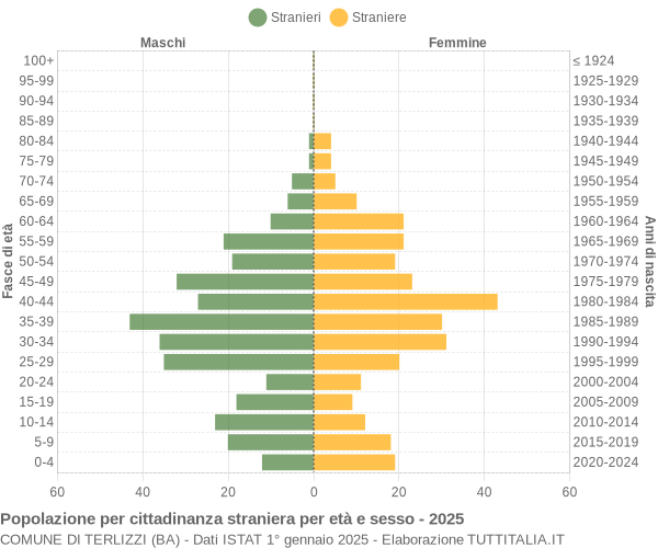 Grafico cittadini stranieri - Terlizzi 2025