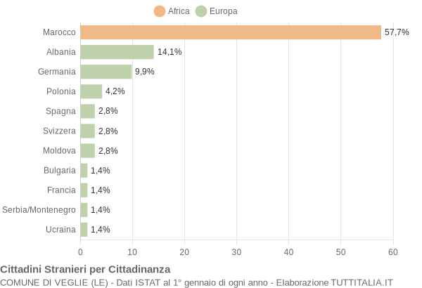 Grafico cittadinanza stranieri - Veglie 2005