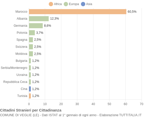 Grafico cittadinanza stranieri - Veglie 2006