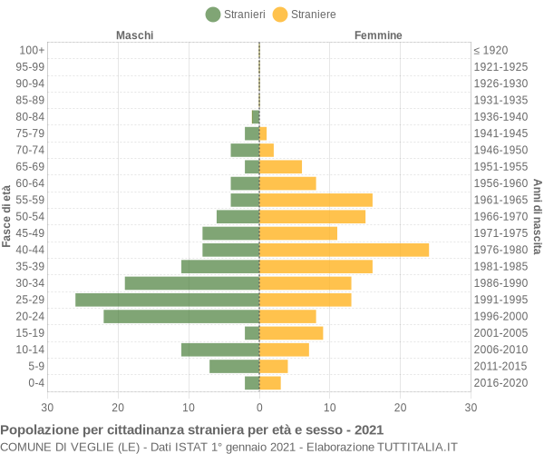 Grafico cittadini stranieri - Veglie 2021