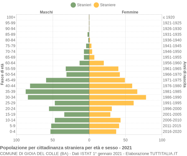 Grafico cittadini stranieri - Gioia del Colle 2021