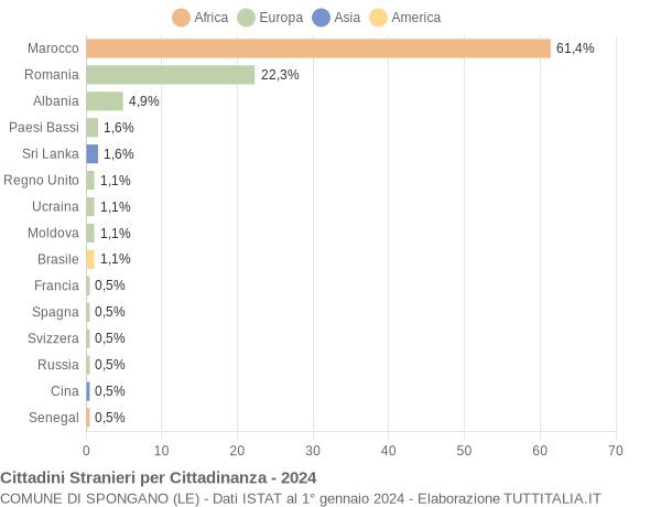 Grafico cittadinanza stranieri - Spongano 2024