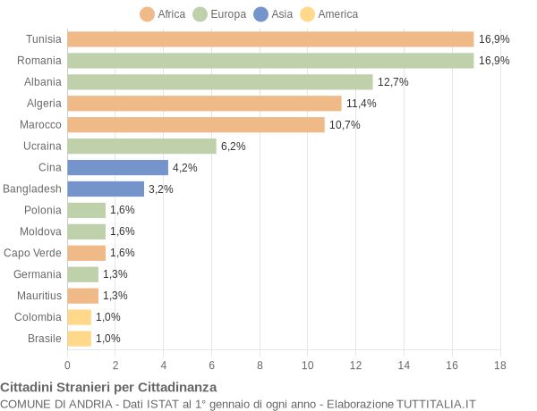 Grafico cittadinanza stranieri - Andria 2004