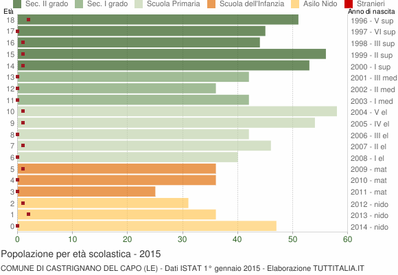 Grafico Popolazione in età scolastica - Castrignano del Capo 2015