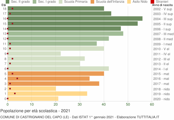 Grafico Popolazione in età scolastica - Castrignano del Capo 2021