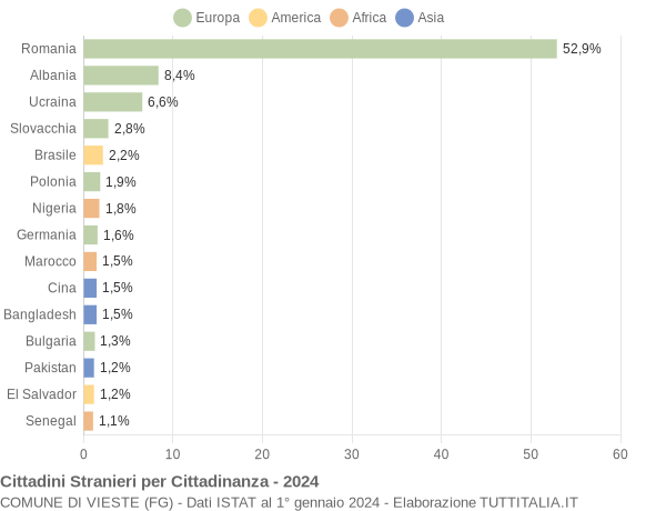 Grafico cittadinanza stranieri - Vieste 2024