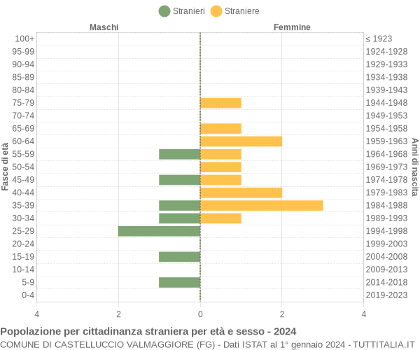 Grafico cittadini stranieri - Castelluccio Valmaggiore 2024