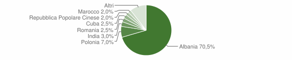 Grafico cittadinanza stranieri - Lequile 2009