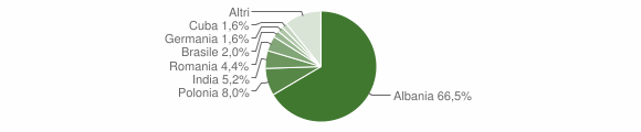 Grafico cittadinanza stranieri - Lequile 2011