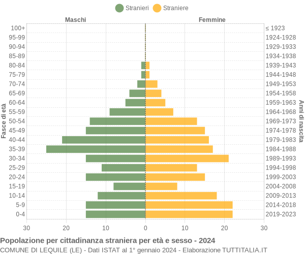Grafico cittadini stranieri - Lequile 2024