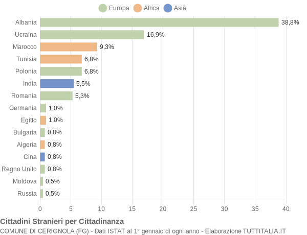 Grafico cittadinanza stranieri - Cerignola 2004