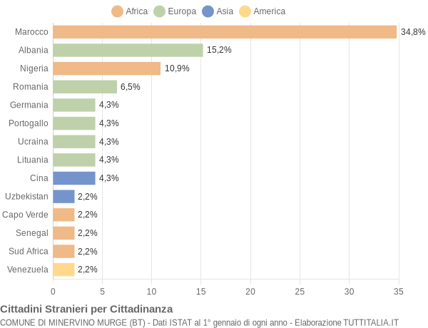 Grafico cittadinanza stranieri - Minervino Murge 2004