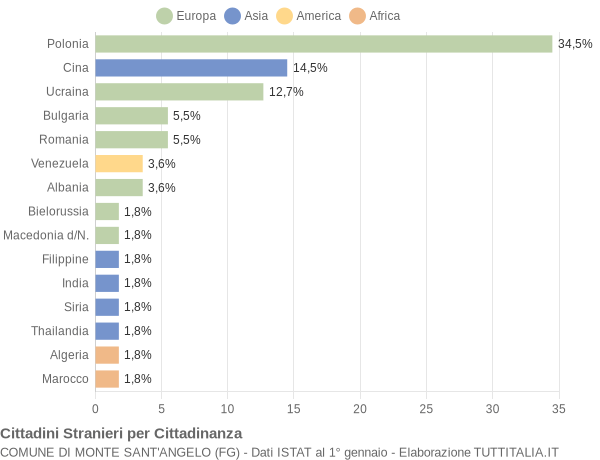 Grafico cittadinanza stranieri - Monte Sant'Angelo 2007