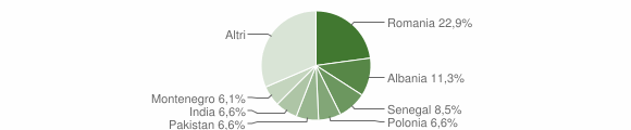 Grafico cittadinanza stranieri - Trepuzzi 2019