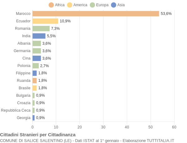 Grafico cittadinanza stranieri - Salice Salentino 2009