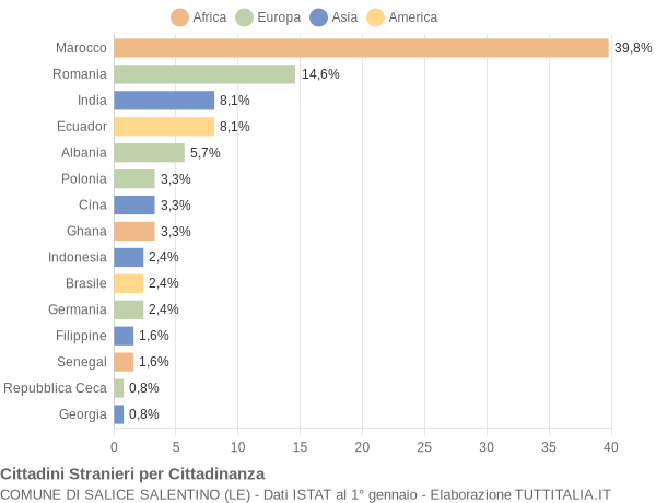 Grafico cittadinanza stranieri - Salice Salentino 2013