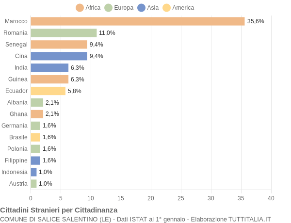 Grafico cittadinanza stranieri - Salice Salentino 2020