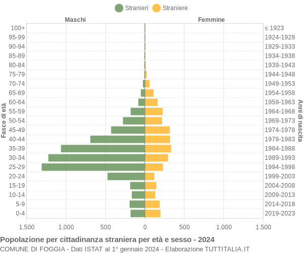 Grafico cittadini stranieri - Foggia 2024