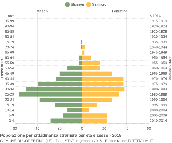 Grafico cittadini stranieri - Copertino 2015