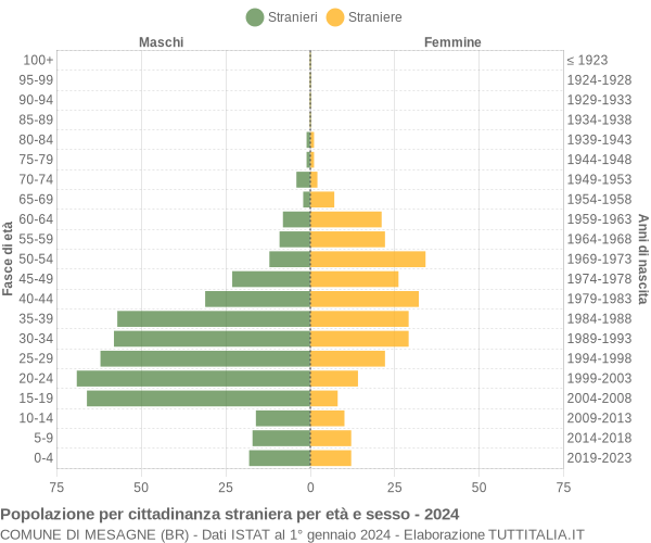 Grafico cittadini stranieri - Mesagne 2024