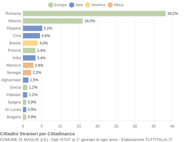 Grafico cittadinanza stranieri - Maglie 2016