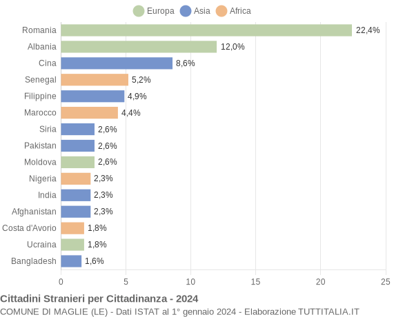 Grafico cittadinanza stranieri - Maglie 2024