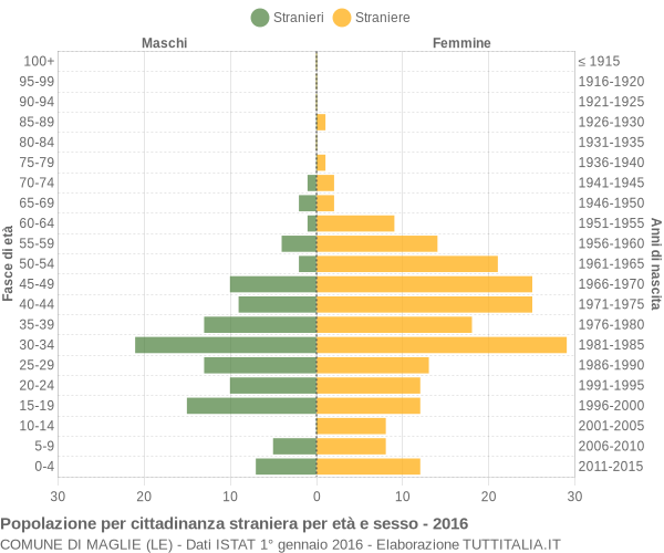 Grafico cittadini stranieri - Maglie 2016