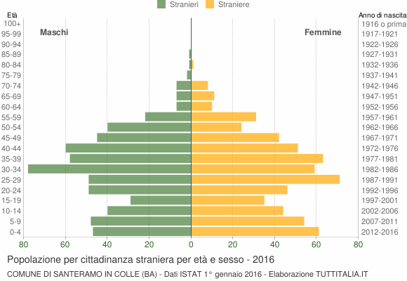 Grafico cittadini stranieri - Santeramo in Colle 2016