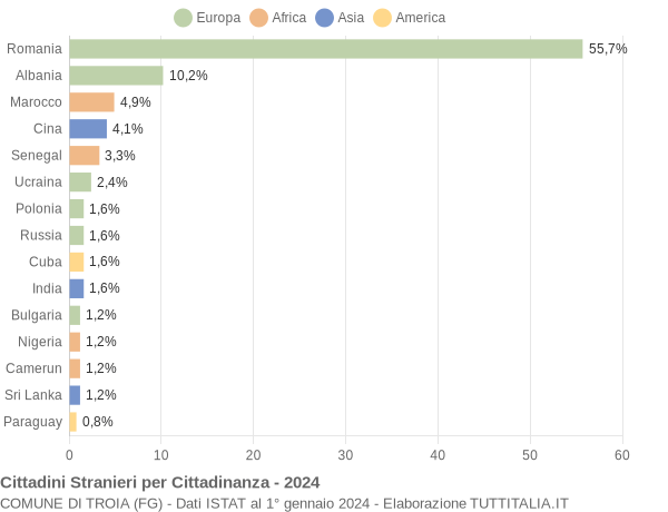 Grafico cittadinanza stranieri - Troia 2024