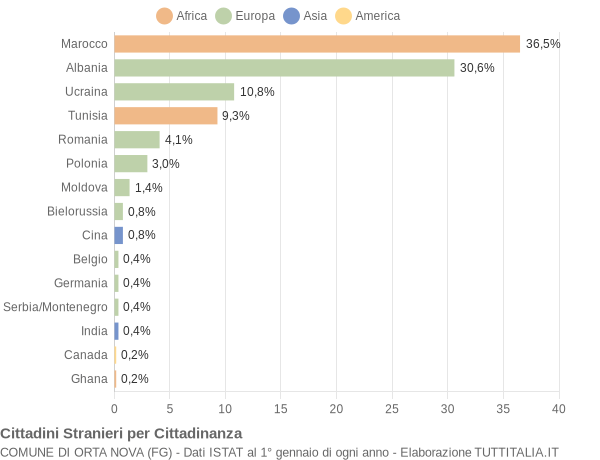 Grafico cittadinanza stranieri - Orta Nova 2005