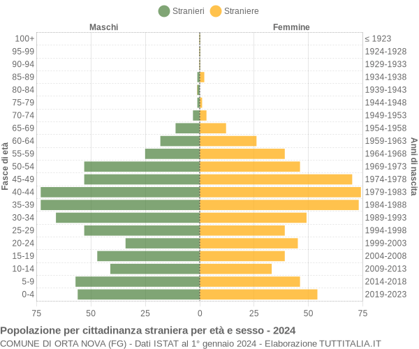 Grafico cittadini stranieri - Orta Nova 2024