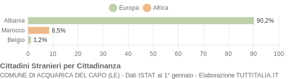 Grafico cittadinanza stranieri - Acquarica del Capo 2004