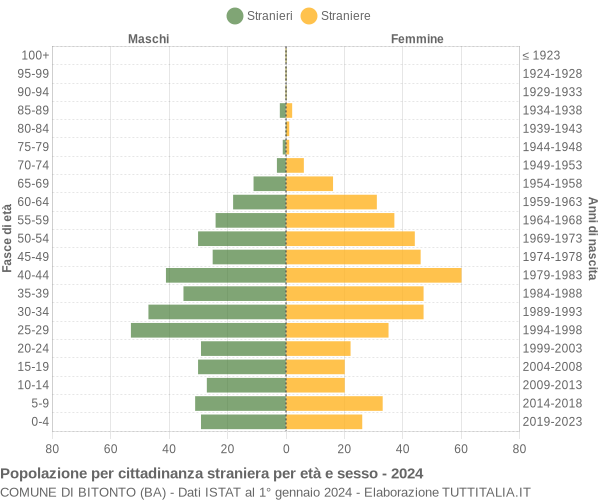Grafico cittadini stranieri - Bitonto 2024