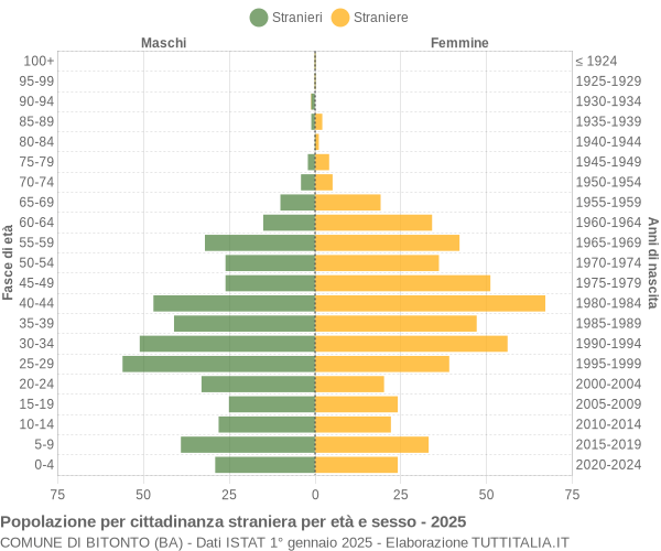 Grafico cittadini stranieri - Bitonto 2025