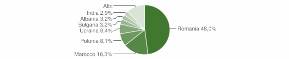 Grafico cittadinanza stranieri - Trinitapoli 2011