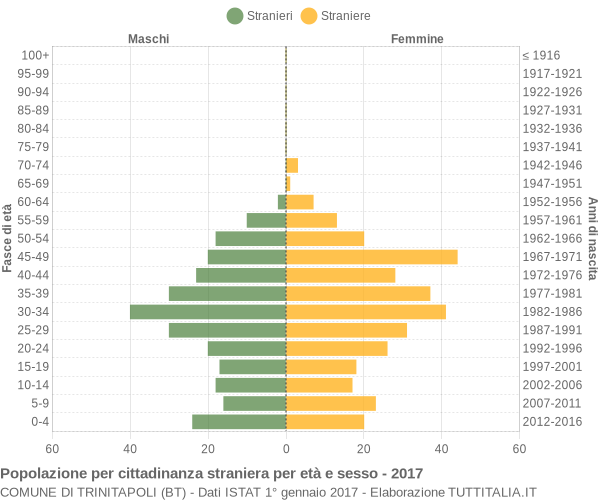 Grafico cittadini stranieri - Trinitapoli 2017