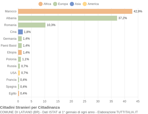 Grafico cittadinanza stranieri - Latiano 2008