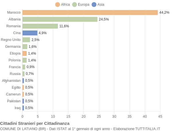 Grafico cittadinanza stranieri - Latiano 2018