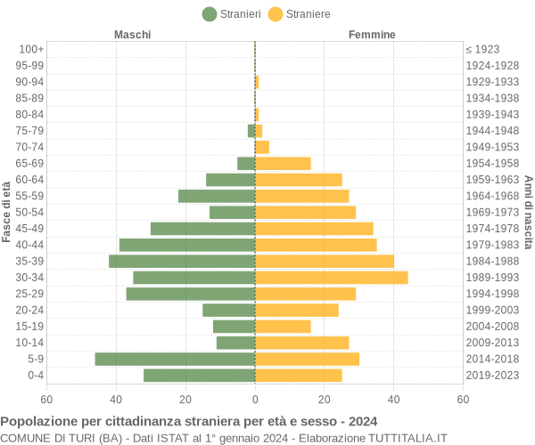 Grafico cittadini stranieri - Turi 2024