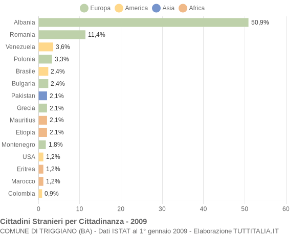 Grafico cittadinanza stranieri - Triggiano 2009